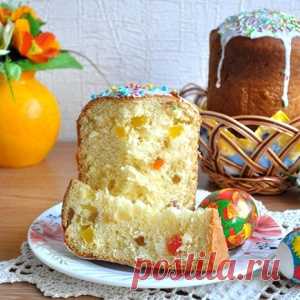 13-летний кот едва мог ходить под тяжестью своей скатавшейся шерсти - МирТесен