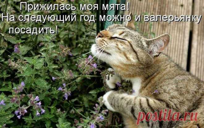 ♥♥Житейская мудрость ♥♥