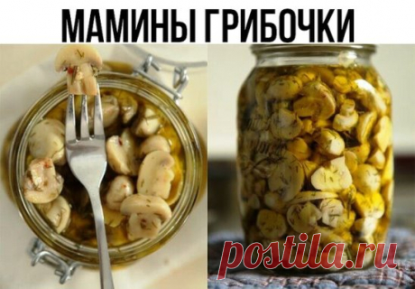 Мамины грибочки