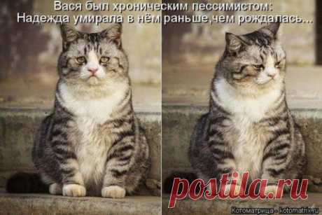 У МЕНЯ СЕГОДНЯ РАССЛАБУХА, ВИДИТЕ, ОТ УХА И ДО УХА! | ДОСТОЙНАЯ ЖИЗНЬ НА ПЕНСИИ