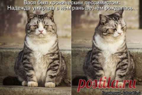 У МЕНЯ СЕГОДНЯ РАССЛАБУХА, ВИДИТЕ, ОТ УХА И ДО УХА! | ДОСТОЙНАЯ ЖИЗНЬ НА ПЕНСИИ