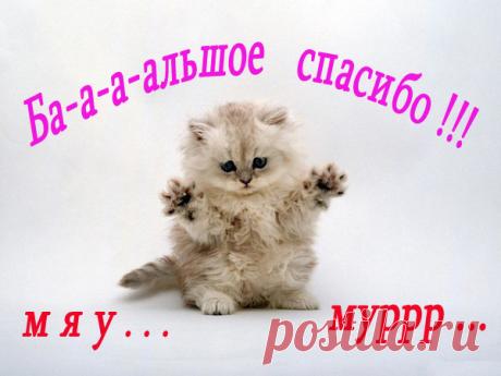 много музыки онлайн