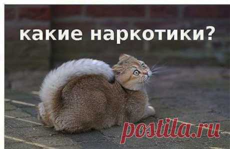 ТОМОЖЕННЫЙ КОНТРОЛЬ