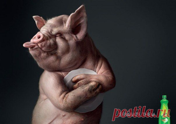 Разлучи их. Средство для мытья посуды Sunlight / Занимательная реклама