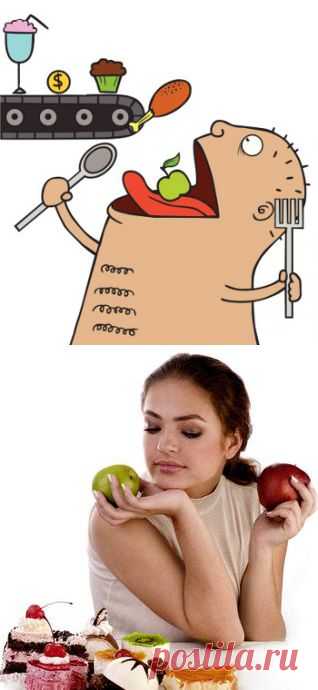 Почему мы переедаем и как с этим бороться? | FEMIANA