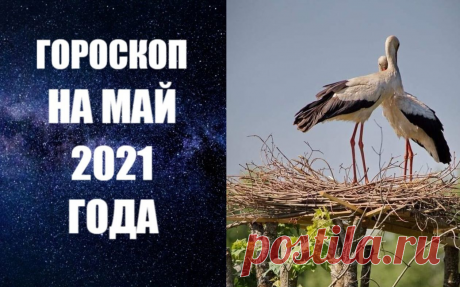 ГОРОСКОП НА МАЙ 2021 ГОДА. Май 2021 года будет активным, динамичным месяцем. В первые десять дней мая можно будет заниматься всеми делами, которые Вы откладывали «на потом». Особенно хорошо решать финансовые вопросы, поскольку Меркурий, Венера и Солнце будут проходить по Тельцу - знаку денег. Чтобы как можно полнее воспользоваться этим периодом, надо постараться проявлять практичные качества Вашего ума.
