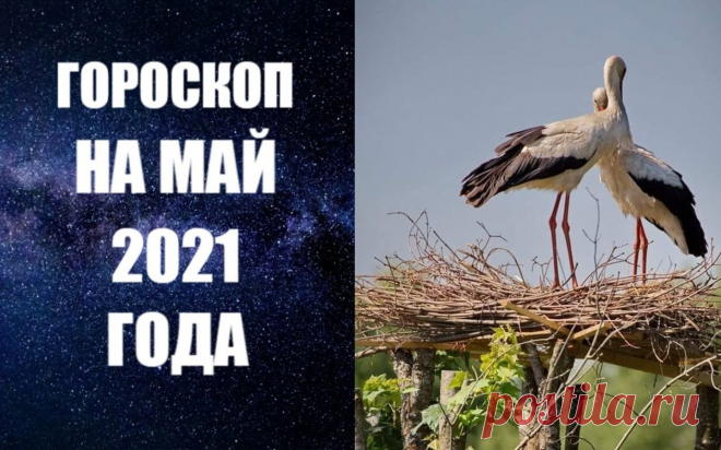 ГОРОСКОП НА МАЙ 2021 ГОДА. Май 2021 года будет активным, динамичным месяцем. В первые десять дней мая можно будет заниматься всеми делами, которые Вы откладывали «на потом». Особенно хорошо решать финансовые вопросы, поскольку Меркурий, Венера и Солнце будут проходить по Тельцу - знаку денег. Чтобы как можно полнее воспользоваться этим периодом, надо постараться проявлять практичные качества Вашего ума.