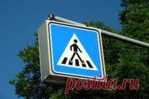 Сбила машина – как получить деньги с виновника?