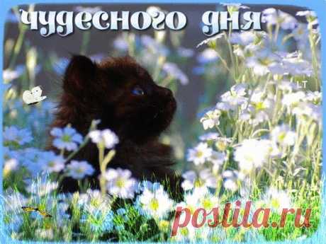 ДОБРОЕ УТРО!
Желаем не знать в этот день неудач,
Ответы найти для тяжелых задач.
На шаг впереди постоянно идти
И счастье найти у себя на пути!