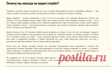 Почему мы никогда не видим голубят?