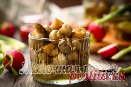 Маринованные шампиньоны – 9 очень вкусных рецептов быстрого приготовления с фото и пошаговым описанием