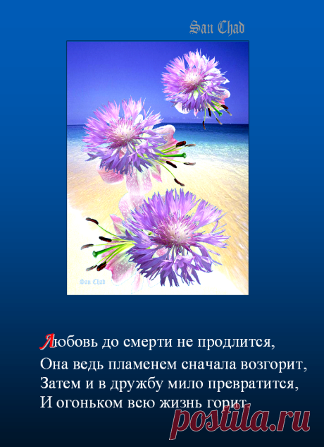 Софиты - от слова София-мудрость * поэтические строки о мудрости.