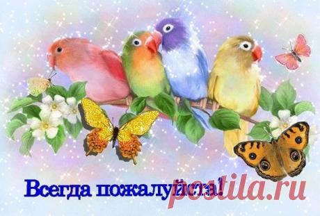 Выпуск №7002 - выпуск анекдотов сайта вокруг смеха
