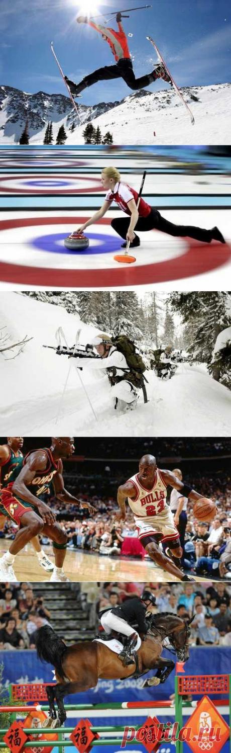 Скелетон, Лапта русская, Подводное регби, Легкая атлетика. (1/1) - Спортивный форум. - Спортивный сайт