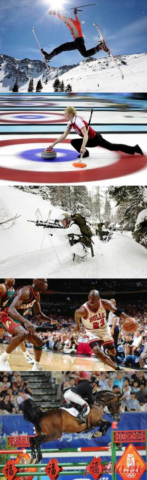 Скелетон, Лапта русская, Подводное регби, Легкая атлетика. (1/1) - Спортивный форум. - Спортивный сайт