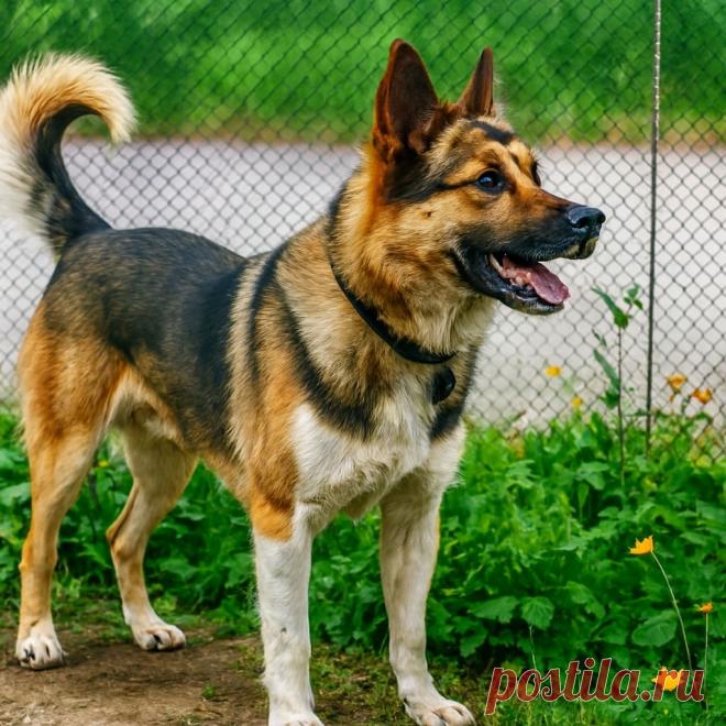 Не бывает Дыма без Боя - Готовим так!