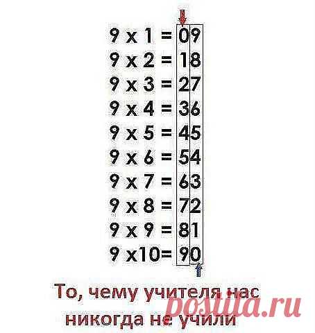 то, о чем забыли рассказать в школе