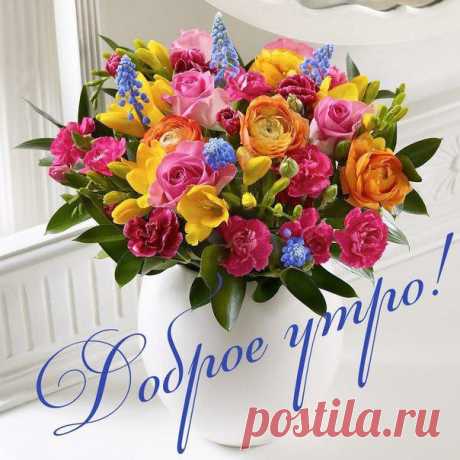 -QtCoaNbQqk.jpg (604×604)