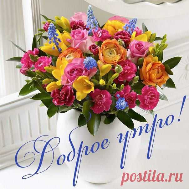 -QtCoaNbQqk.jpg (604×604)