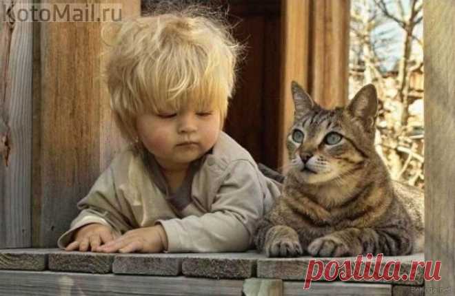 юмор | KotoMail.ru