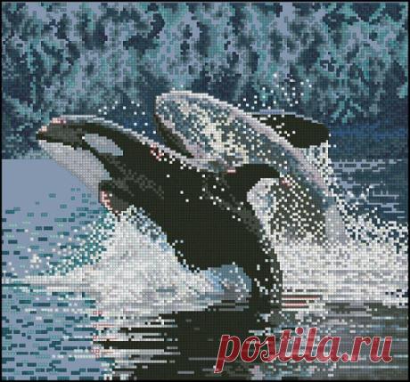 Orcas & Dolphins. Cross Stitch Pattern PDF Instant Download. Embroidery Orcas, Embroidered Dolphins, Embroidered Sea, Embroidered Ocean Please note this is a JPEG pattern only. No fabric, floss, or other materials are included in the listing. Orcas & Dolphins, Embroidery Orcas, Embroidered Dolphins, Embroidered Sea, Embroidered Ocean  Due to the nature of this product, no refunds can be made.  Counted Cross Stitch Pattern JPEG Embroidery Scheme.  Design details:  Size: 150...