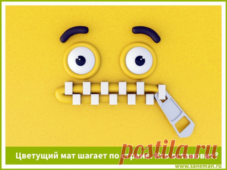 Цветущий мат шагает по стране. Кто остановит? - Проект «ЧЕЛОВЕК РАЗУМНЫЙ»