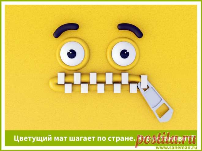 Цветущий мат шагает по стране. Кто остановит? - Проект «ЧЕЛОВЕК РАЗУМНЫЙ»