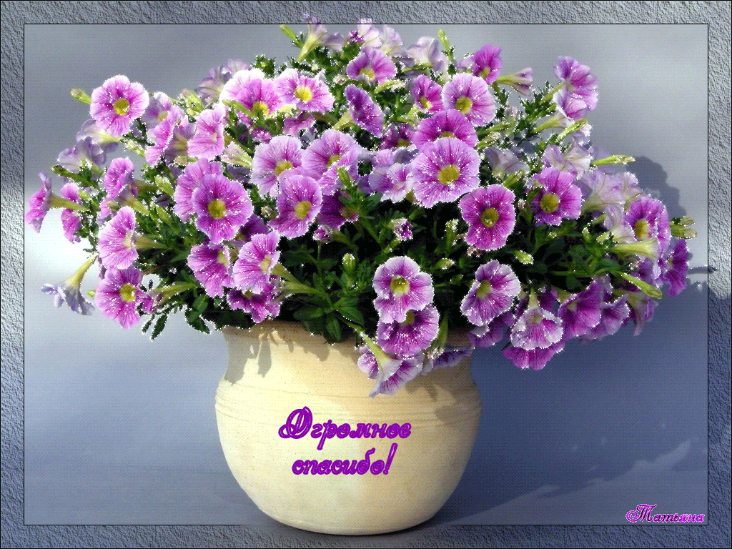 Плейкаст «Огромное спасибо!»