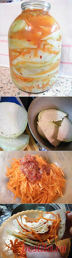 Капуста соленая по-корейски.