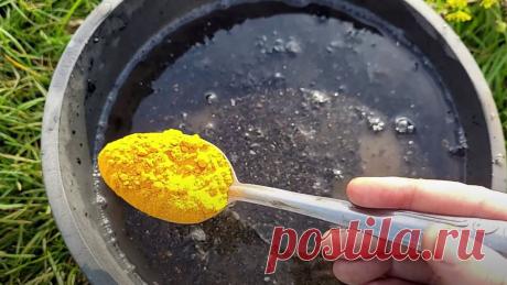 1 ложка на ведро воды заменит тонну навоза — земля станет плодородной, воздушной, рыхлой
