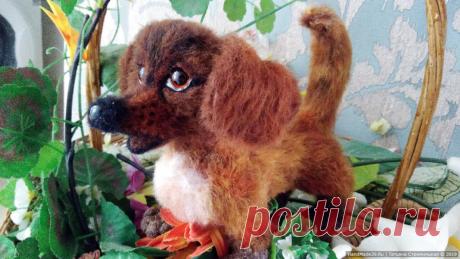 Мастер-класс по валянию таксы из шерсти