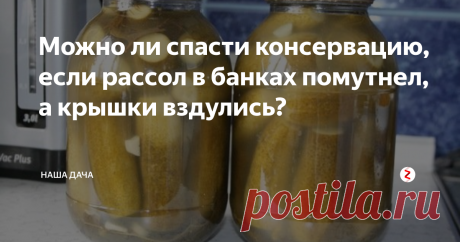 Можно ли спасти консервацию, если рассол в банках помутнел, а крышки вздулись? Признайтесь, бывало такое – закрутили огурцы или помидоры, а через некоторое время закрутки стали мутными, и крышечки вздулись? Можно ли использовать такие консервы в пищу или их как-то спасти? Давайте разбираться.