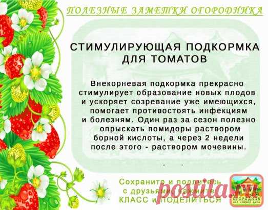 КОПИЛОЧКА  ОГОРОДНИКА!
Сохраните и поделитесь с друзьями!
#✒ЗаметкиОгородника✒