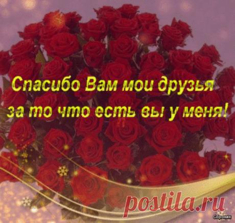 Мой Мир@Mail.Ru