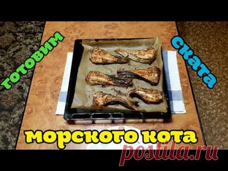 Готовим морского кота (ската)