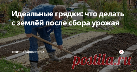 Идеальные грядки: что делать с землёй после сбора урожая Если вы думали, что вместе со уборкой урожая работа на огороде заканчивается, то спешу вас разочаровать: правильная обработка почвы обязательна для огородников-перфекционистов! И для всех, кто хочет вырастить на следующий год богатый урожай.
1. Копать — не нужно
Боюсь, что сейчас разрушу стереотипы о том, что делать с грядкой после сбора урожая. Почему-то очень многие садоводы-огородники, с лопато