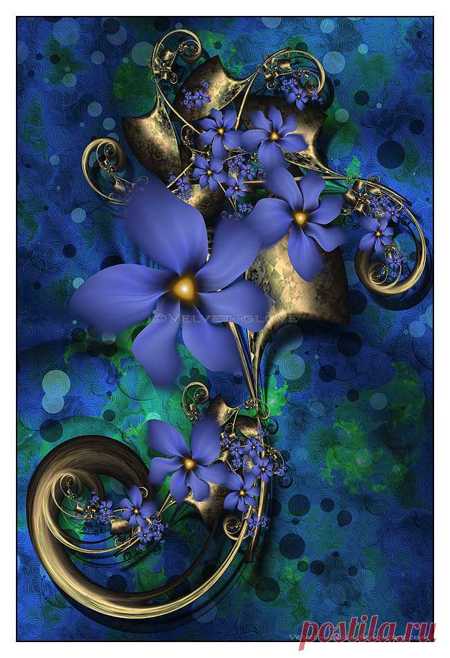 Blue Velvet by Velvet--Glove on DeviantArt
