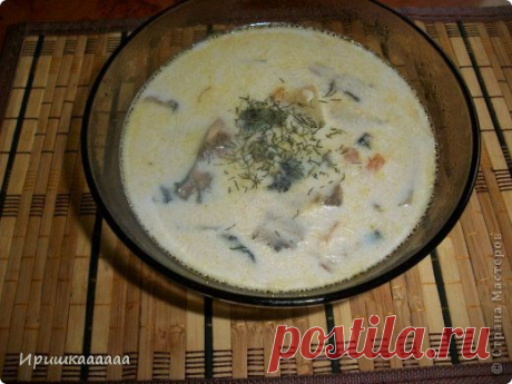 Грибной молочный суп с шампиньонами.