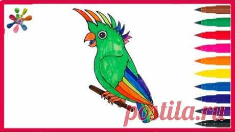 Рисуем красивого попугая .We draw a beautiful parrot .Раскраски для детей.