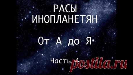 [Видео@Mail.Ru] Видео "Расы инопланетян. Часть 4" готово к просмотру - Почта Mail.Ru