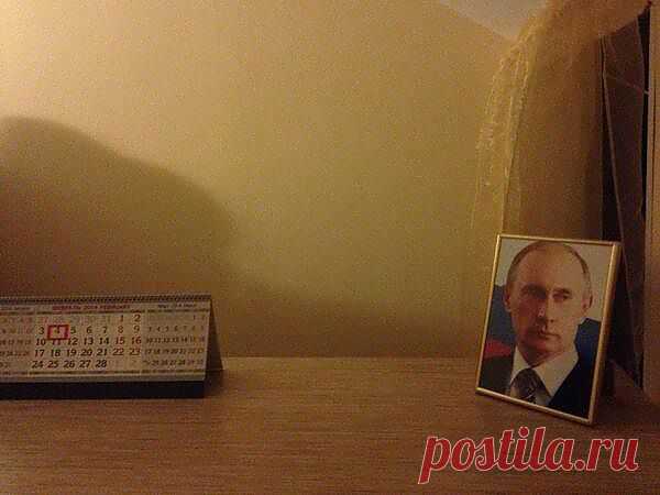 Обидные картинки и ещё более обидная правда&#8230;&nbsp; &nbsp;Выживи сам