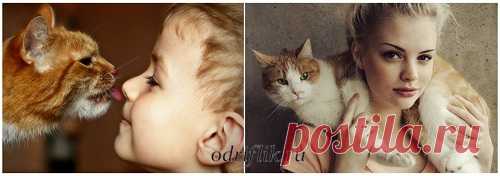 Домашние любимцы - средство от одиночества и не только | О чём нужно знать современной женщине