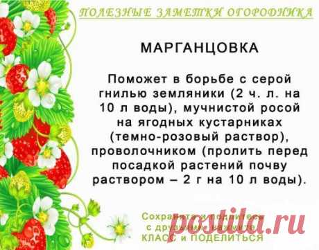 (1) Одноклассники