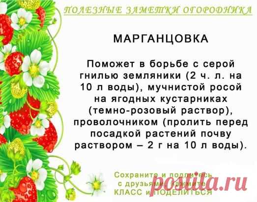 (1) Одноклассники