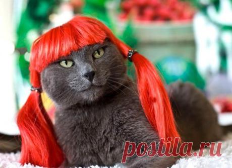 Свежие позитивные фото / Приколы