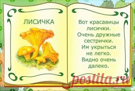 Стихи про грибы для детей - развиваем память и речь ребенку