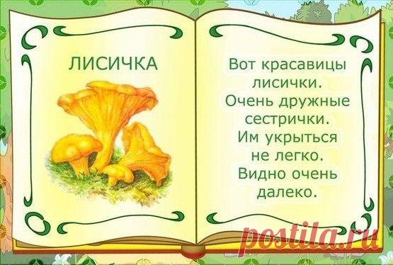 Стихи про грибы для детей - развиваем память и речь ребенку