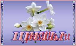 Бродилка по клипарту и декору