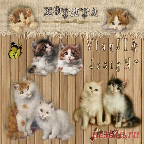 картинки PNG для декупажа котята на ГЛАВНОЙ - 20 Октября 2016 - VIandTA desigN* - Hand Made