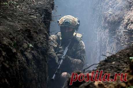 Военкор прокомментировал заход украинской ДРГ на территорию Курской области